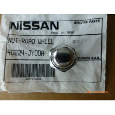 Nissan 40224 v5510