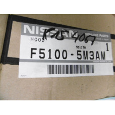 Original Nissan Almera N16 Motorhaube F5100-5M3AM