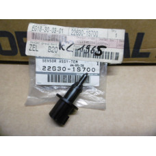 Original Nissan Pathfinder R50 Pickup D22 Maxima CA33 Almera N16 Primera P11 Sensor Lufttemperatur 22630-1S700